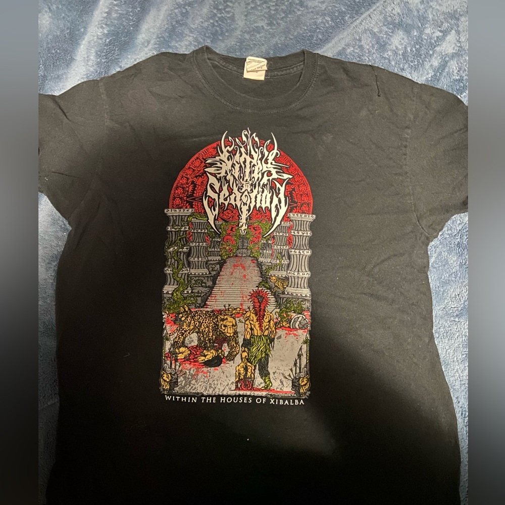 Rites to Sedition black metal t m
